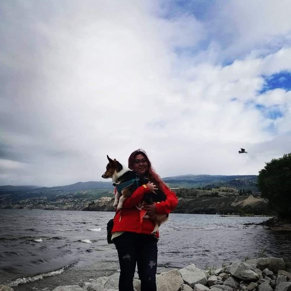 Meet your Posher, Karlin - Picture 1 of 1